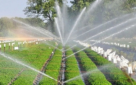Đề xuất tiêu chí đối với dự án trong khu nông nghiệp công nghệ cao