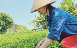 Thái Nguyên có thêm 3 sản phẩm OCOP 5 sao về trà