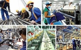 TÁI CƠ CẤU HỆ THỐNG, PHÁT TRIỂN CÁC DOANH NGHIỆP "ĐẦU ĐÀN" DẪN DẮT THỊ TRƯỜNG, KẾT NỐI CHUỖI GIÁ TRỊ