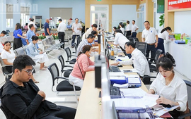 Quy định mới: Đánh giá cán bộ, công chức, viên chức TP Đà Nẵng theo hiệu quả công việc