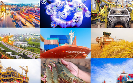 Thủ tướng Chính phủ phê duyệt Chương trình hỗ trợ doanh nghiệp vươn ra thị trường quốc tế