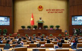 CƠ CẤU TỔ CHỨC CỦA CHÍNH PHỦ NHIỆM KỲ QUỐC HỘI KHÓA XVI