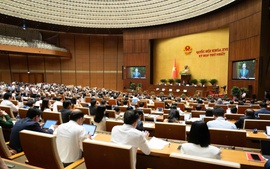 DANH SÁCH PHÓ THỦ TƯỚNG, BỘ TRƯỞNG, THÀNH VIÊN CHÍNH PHỦ, NHIỆM KỲ 2026-2031 VỪA ĐƯỢC QUỐC HỘI PHÊ CHUẨN BỔ NHIỆM