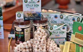 TOÀN VĂN: Dự thảo Quyết định ban hành bộ tiêu chí và quy trình đánh giá, phân hạng sản phẩm OCOP