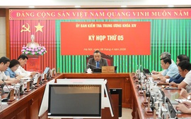 Ủy ban Kiểm tra Trung ương kỷ luật, đề nghị kỷ luật đảng viên vi phạm