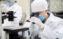 TOÀN VĂN: Dự thảo Nghị định Quy định chính sách thu hút, trọng dụng người có tài năng