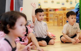 TOÀN VĂN: Nghị quyết 23/2026/NQ-CP về cắt giảm thủ tục hành chính, điều kiện kinh doanh thuộc phạm vi quản lý của Bộ Giáo dục và Đào tạo
