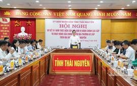 Hoàn thành xây dựng phương án tiếp tục sắp xếp đơn vị sự nghiệp trước 30/5/2026