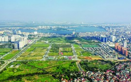 Sửa đổi căn cơ chính sách đất đai, sửa đổi Luật Đất đai