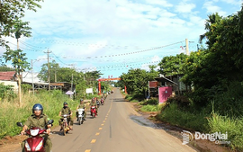 Phương án tổng thể sắp xếp thôn, tổ dân phố và chế độ, chính sách đối với người hoạt động không chuyên trách của TP Đồng Nai