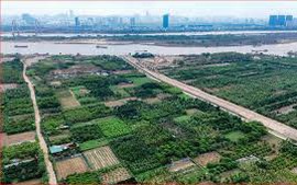 Đề xuất miễn thuế sử dụng đất phi nông nghiệp với đất dùng cho giáo dục và đào tạo