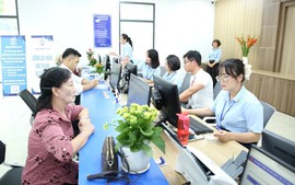 Thời điểm, trình tự, thủ tục xếp loại chất lượng viên chức