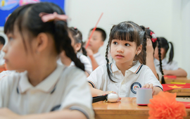 Không sắp xếp các trường chuyên biệt với trường phổ thông đại trà