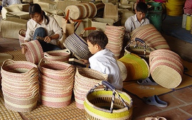 Chi tiết MỨC PHẠT, HÀNH VI vi phạm quy định sử dụng lao động chưa thành niên