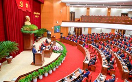 Quy định số 208-QĐ/TW về thi hành Điều lệ Đảng