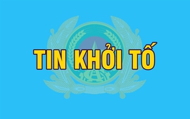 Khởi tố, bắt tạm giam Thứ trưởng, Phó Cục trưởng, Chi cục trưởng, Trạm trưởng