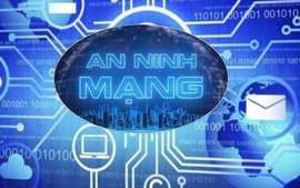 Điều kiện cấp, thu hồi Giấy phép xuất nhập khẩu sản phẩm an ninh mạng
