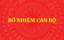 Hướng dẫn thủ tục bổ nhiệm lại chức vụ lãnh đạo, quản lý đối với công chức, viên chức