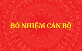 QUY ĐỊNH MỚI: Tiêu chuẩn, điều kiện bổ nhiệm công chức giữ chức vụ lãnh đạo, quản lý