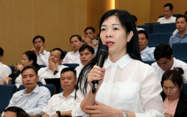 SẮP XẾP TRƯỜNG HỌC: Kiến nghị xử lý một loạt vướng mắc về tổ chức, nhân sự, tiền lương, phụ cấp, chính sách hỗ trợ...
