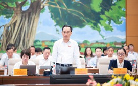 Xây dựng Nghị định về chính sách tiền lương nhà giáo  đồng bộ với Đề án cải cách tiền lương