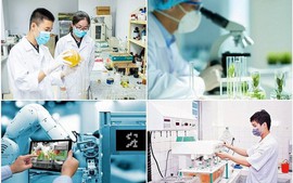 Thông tư 52/2026/TT-BKHCN: Danh mục vị trí công tác trong lĩnh vực khoa học, công nghệ phải định kỳ chuyển đổi