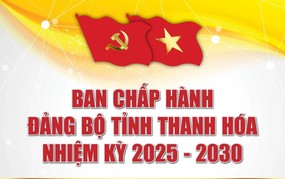 Danh sách Ban Chấp hành, Ban Thường vụ, Thường trực Tỉnh ủy Thanh Hóa khóa XX