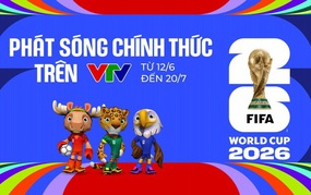 TOÀN CẢNH WORLD CUP 2026