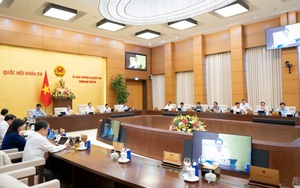 Ủy ban Thường vụ Quốc hội cho ý kiến về Dự án Luật Thuế thu nhập cá nhân (sửa đổi)