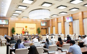 Xóa bỏ thuế khoán; quy định mã số thuế cá nhân là số định danh