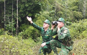 Kiến nghị điều chỉnh thẩm quyền điều tra hình sự của Bộ đội Biên phòng sau sắp xếp tổ chức