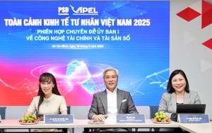 Chương trình Toàn cảnh kinh tế tư nhân lần thứ nhất (ViPEL) năm 2025