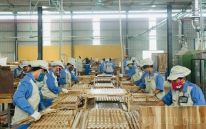 Tuyên Quang triển khai Kế hoạch phát triển kinh tế tư nhân