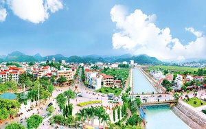 Khẩn trương sắp xếp đơn vị sự nghiệp cấp xã; thành lập Trung tâm Dịch vụ Tổng hợp