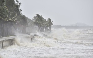 Bão KALMAEGI rất mạnh, cần khẩn trương ứng phó với tinh thần quyết liệt nhất