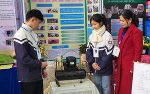 Thi nghiên cứu KHKT dành cho học sinh trung học: Công khai dự án, điều chỉnh cách tính số lượng dự án dự thi