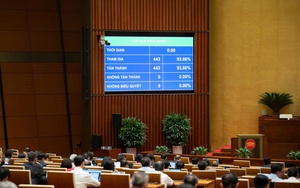 Bổ sung nội dung phòng chống thiên tai vào Quy hoạch tổng thể quốc gia thời kỳ 2021 - 2030