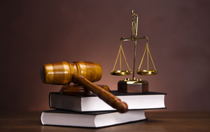 Vụ Egroup: Truy tố Shark Thủy và đồng phạm chiếm đoạt hơn 7677 tỉ đồng