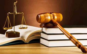 Những Luật, Nghị quyết có hiệu lực từ 1/1/2026