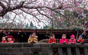 Chỉ thị số 55-CT/TW của Ban Bí thư về việc tổ chức Tết Bính Ngọ năm 2026