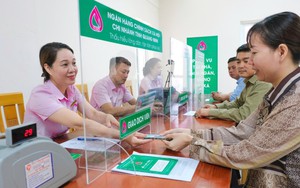 Từ 1/1/2026, nâng mức cho vay hỗ trợ tạo việc làm, duy trì, mở rộng việc làm