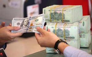 Các mức phạt vi phạm hành chính trong hoạt động ngoại hối có hiệu lực từ tháng 2/2026