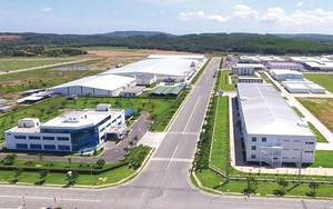 Nghị định 87/2025/NĐ-CP quy định giảm tiền thuê đất năm 2024