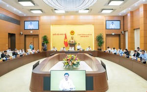 Quy định về sắp xếp, kiện toàn tổ chức bộ máy của cơ quan, tổ chức sau sắp xếp đơn vị hành chính