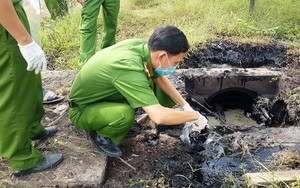 Đề xuất nâng mức hình phạt tù, tiền đối với tội phạm về môi trường