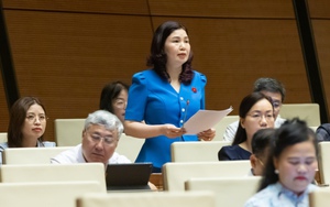 Kiến nghị nâng thời gian miễn thuế thu nhập doanh nghiệp; thuế thu nhập cá nhân