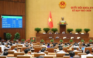 TOÀN VĂN: Luật sửa đổi, bổ sung một số điều của Luật Xử lý vi phạm hành chính