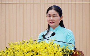 Chỉ định nhân sự Hội đồng nhân dân tỉnh Đồng Nai mới
