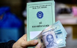 TOÀN VĂN: Thông tư 12/2025/TT-BNV quy định chi tiết một số điều của Luật BHXH về BHXH bắt buộc