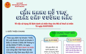 Hỗ trợ sử dụng SỐ ĐỊNH DANH cá nhân thay MÃ SỐ THUẾ